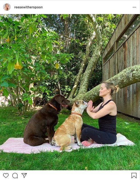 Reese Witherspoon do yoga with the dog