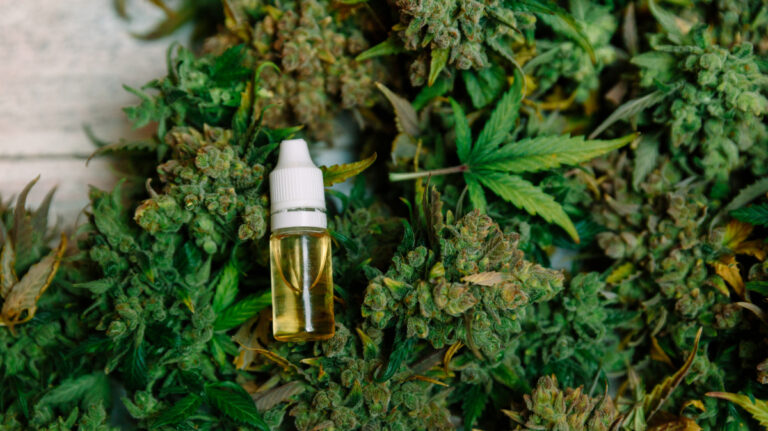 Rules and regulations for CBD oil in France