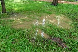 How To Drain A Lawn | Fix Waterlogged Grass